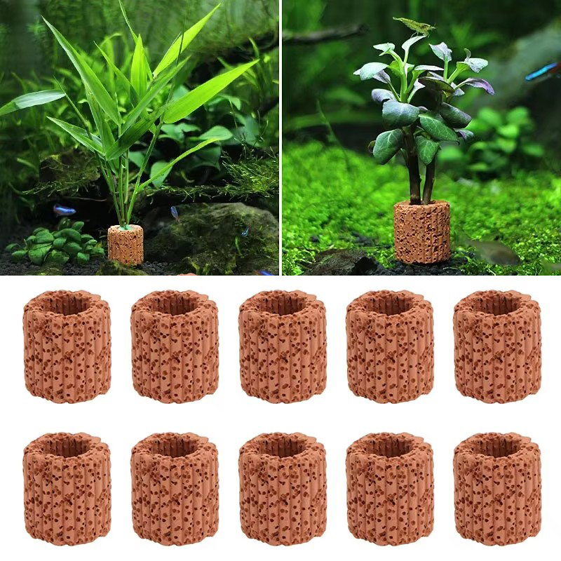 Aquarium Plants Live - Aquatische Plant Vaste Ring voor Aquarium