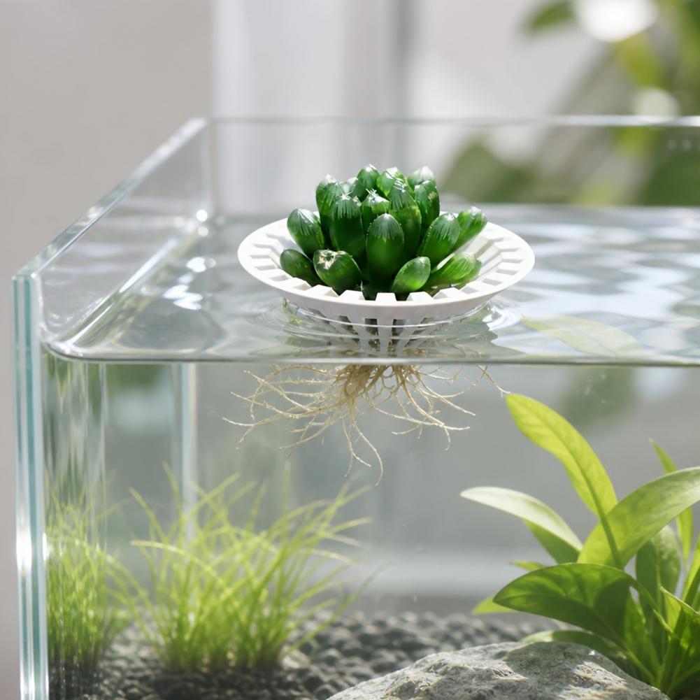 Aquarium Plant Holder - Aquarium Hydroponische Plantenbak 3D Geprinte Drijvende