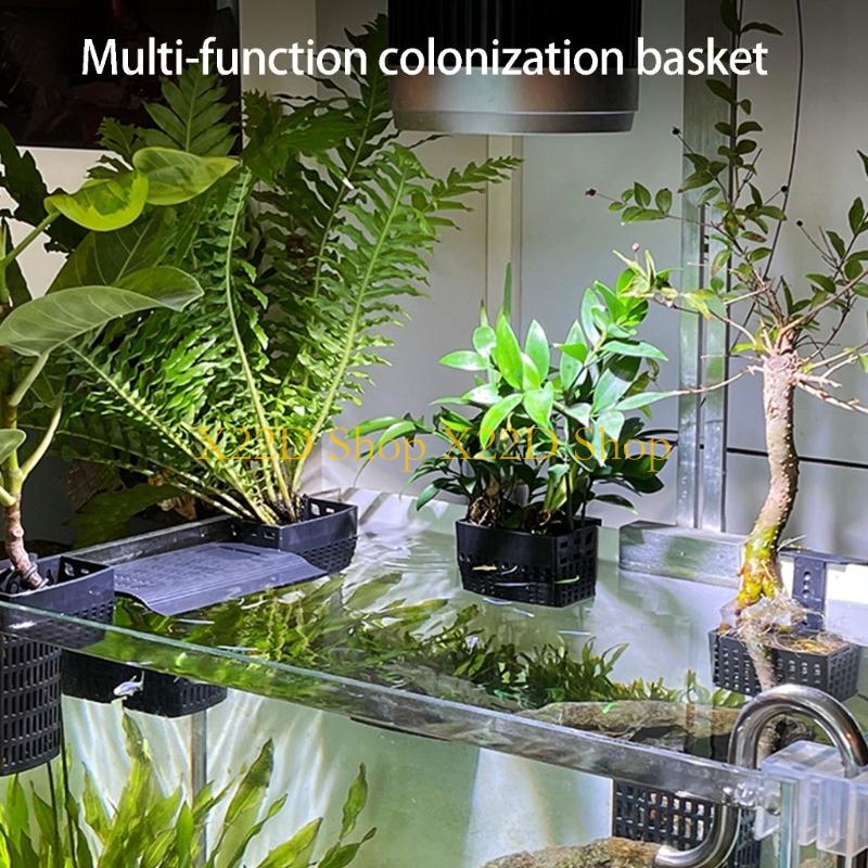 Aquarium Plant Holder - X22D moderne oude stijlen verticale plantenhouder