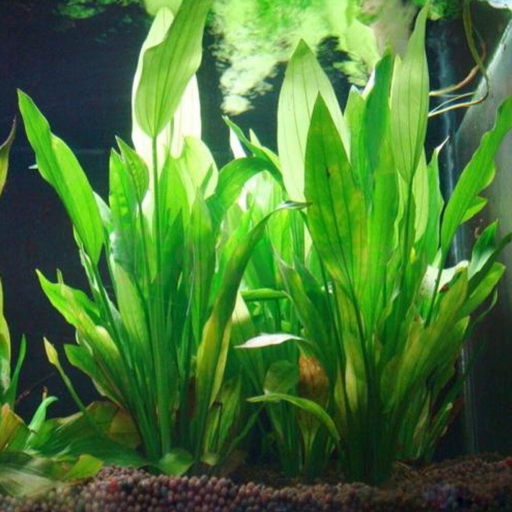 Live Plant Aquarium - 15 cm Kunstmatige Aquarium Decor Planten