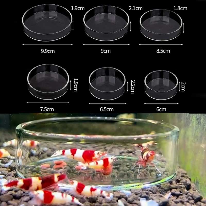 Aquarium Fertilizer - Garnalen Voerbak Hoge Transparante Glazen Voerbak