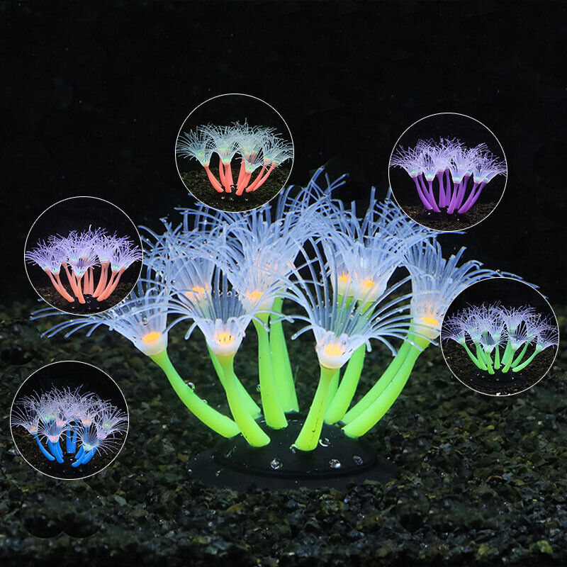 Siliconen gloeiende landschaps - Live Plant Aquarium recensie en prijs