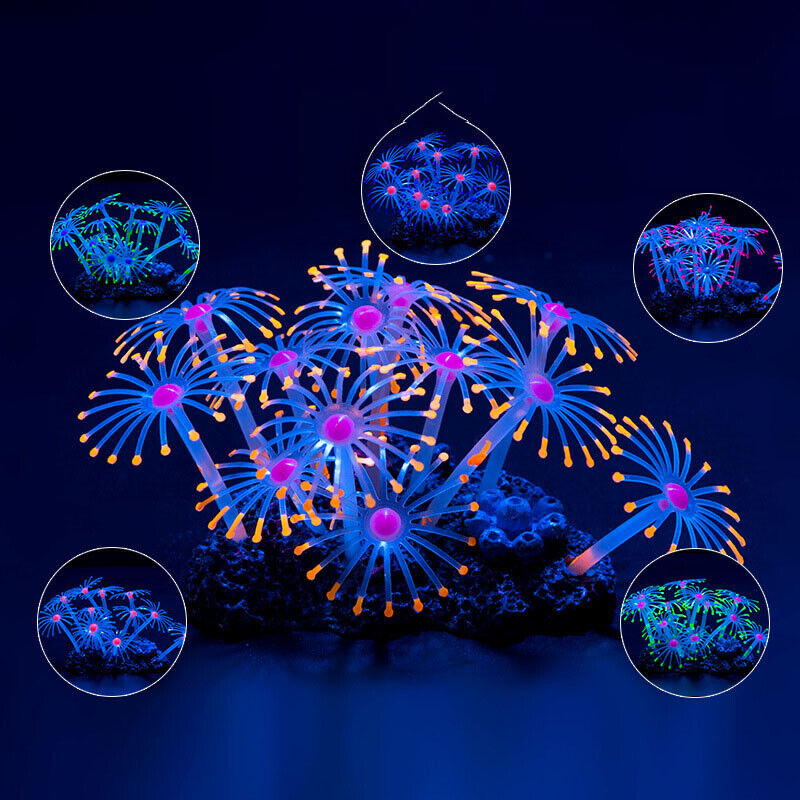 Siliconen gloeiende landschaps - Live Plant Aquarium recensie en prijs