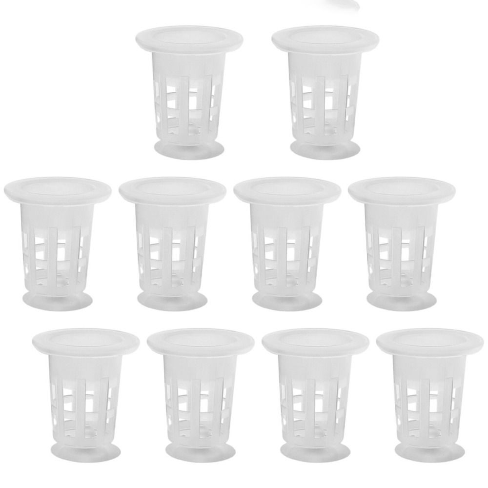 10 stuks transparante planten  - Aquarium Plants Live recensie en prijs
