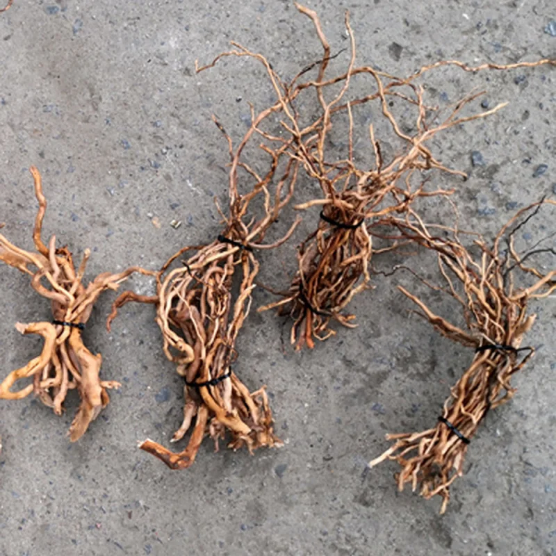 Natuurlijke drijfhoutwortelsta - Aquarium Driftwood recensie en prijs