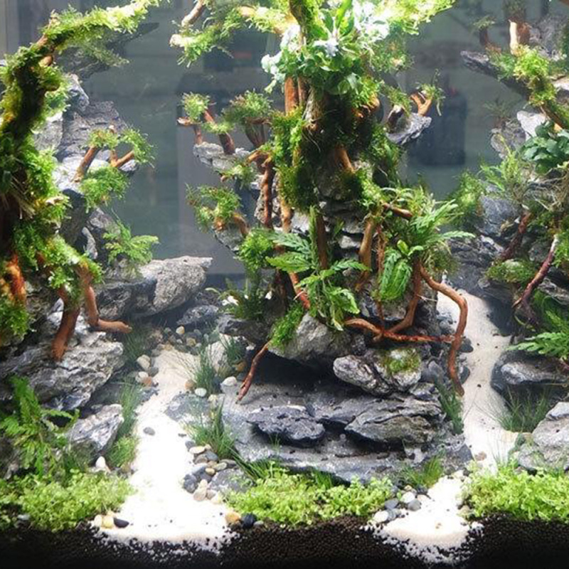 Natuurlijke drijfhoutwortelsta - Aquarium Driftwood recensie en prijs