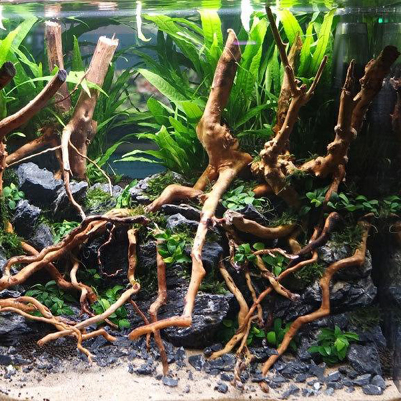 Natuurlijke drijfhoutwortelsta - Aquarium Driftwood recensie en prijs