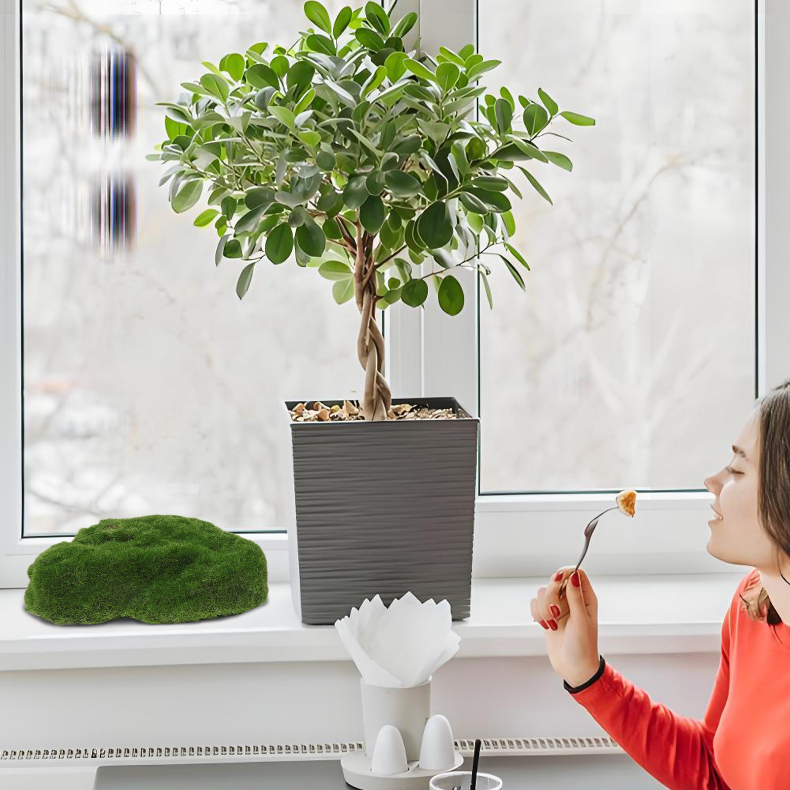 4 stuks decoratieve, levensech - Aquarium Moss recensie en prijs