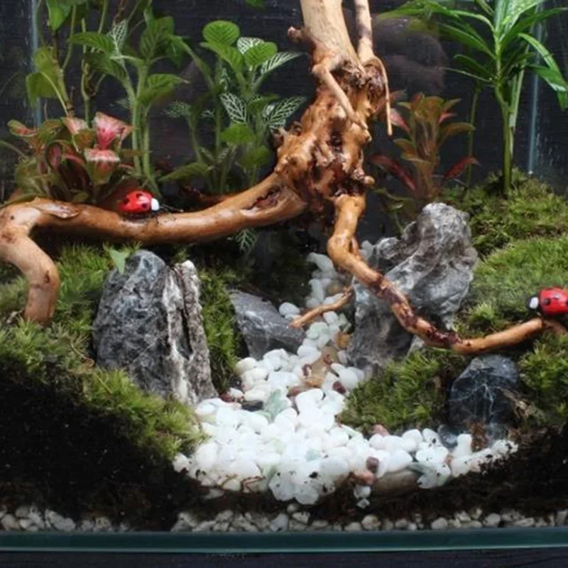Natuurlijke Boomstam Drijfhout - Aquarium Driftwood recensie en prijs