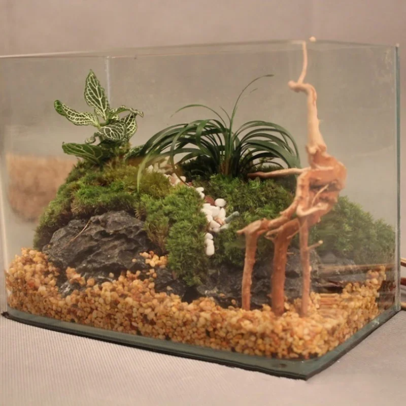 Natuurlijke Boomstam Drijfhout - Aquarium Driftwood recensie en prijs