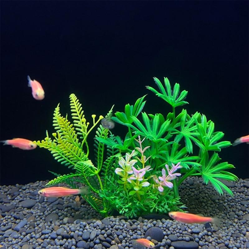 Kunstmatige aquariumdecoratie  - Live Plant Aquarium recensie en prijs