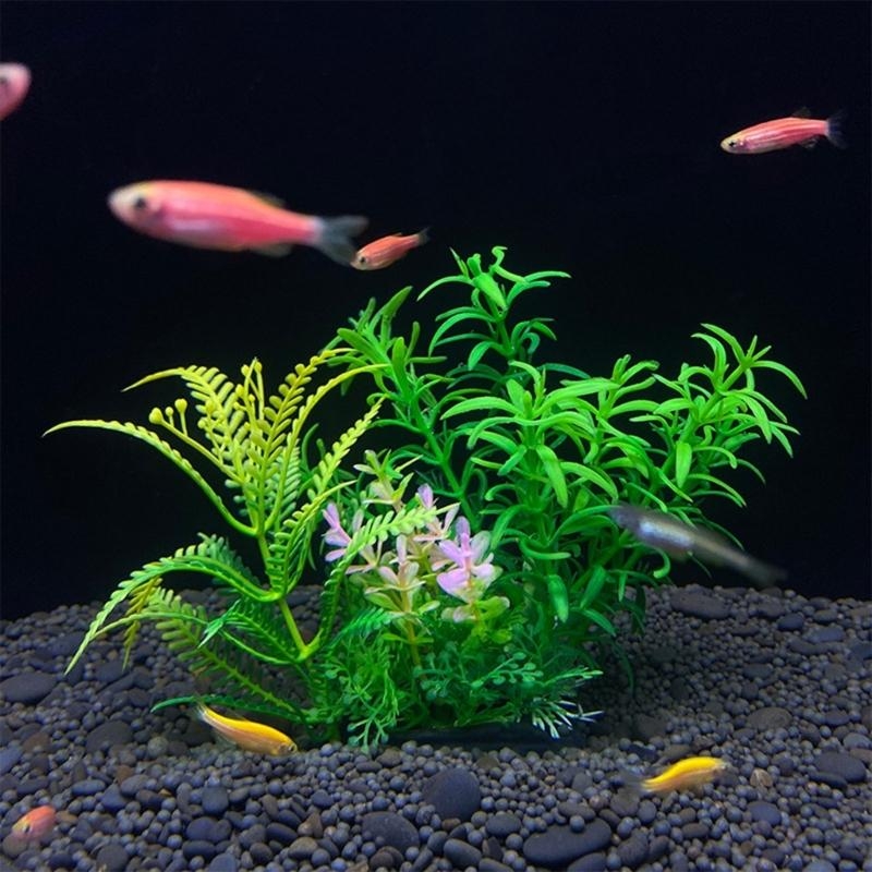 Kunstmatige aquariumdecoratie  - Live Plant Aquarium recensie en prijs