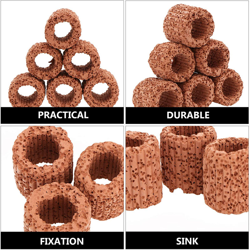 Aquatische Plant Vaste Ring vo - Aquarium Plants Live recensie en prijs