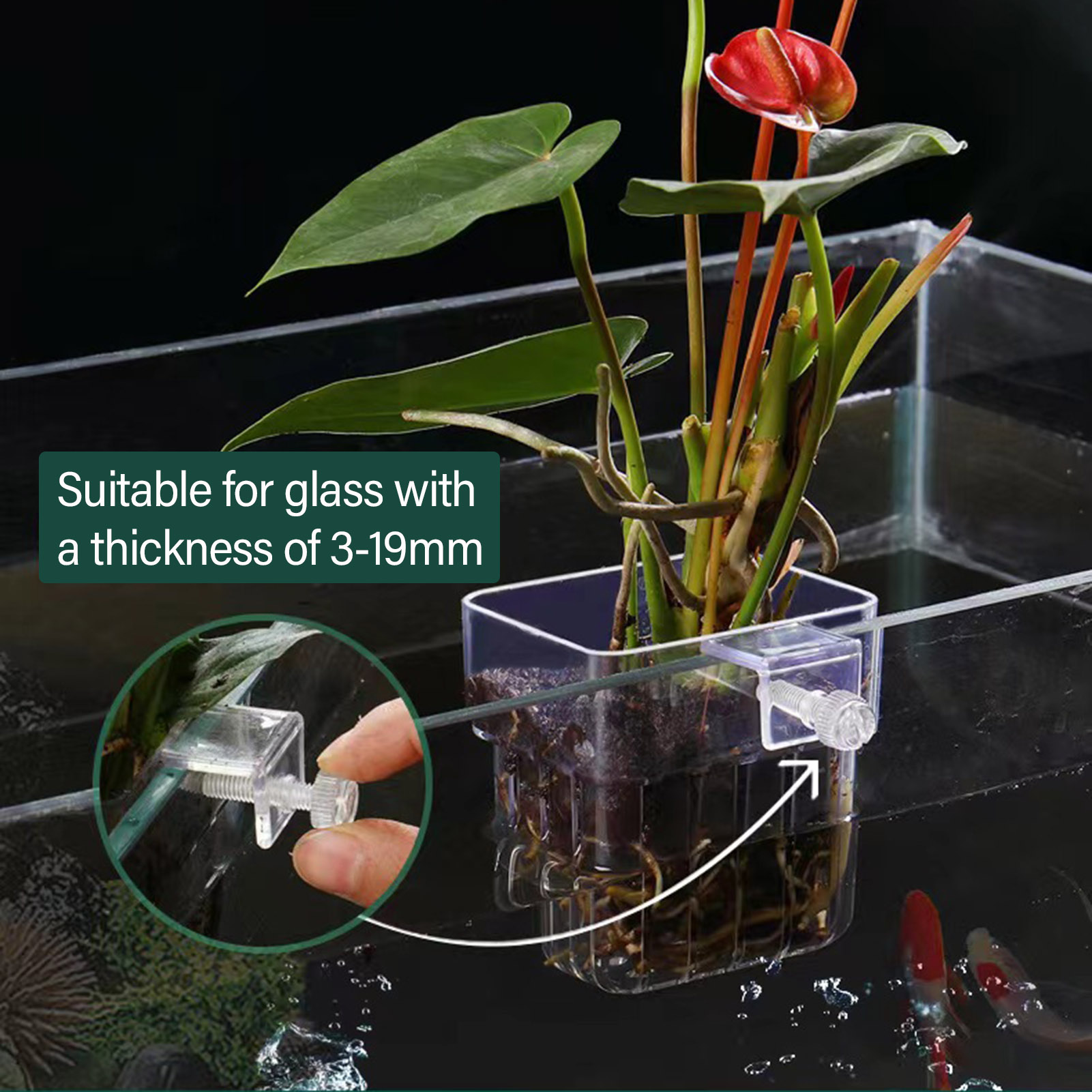 Transparante acryl plantenhoud - Aquarium Plant Holder recensie en prijs