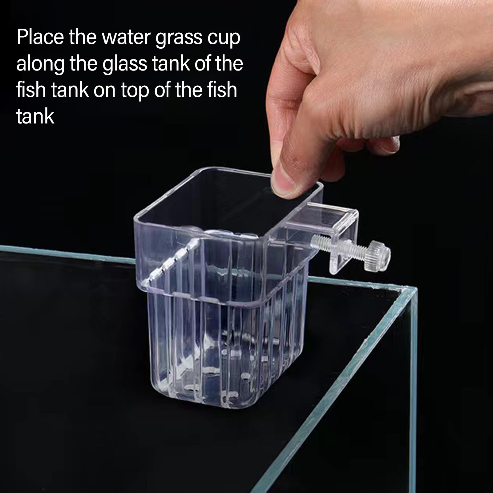 Transparante acryl plantenhoud - Aquarium Plant Holder recensie en prijs