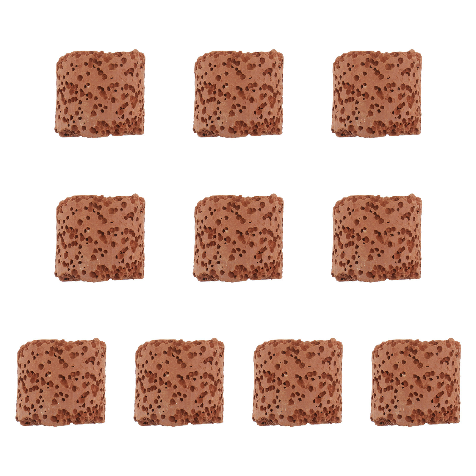 10 stuks vaste ringen voor aqu - Aquarium Plant Holder recensie en prijs