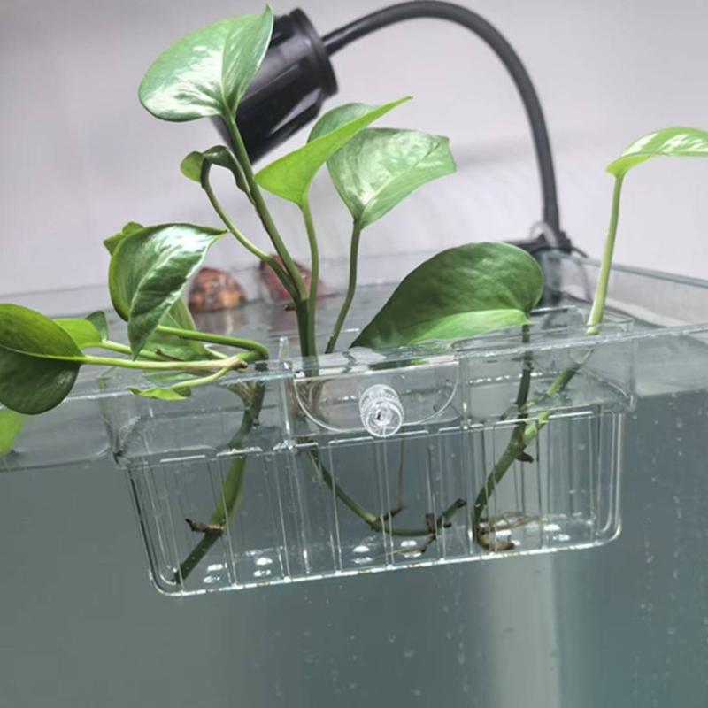 Hydroponische plantenmand, voe - Planted Tank recensie en prijs