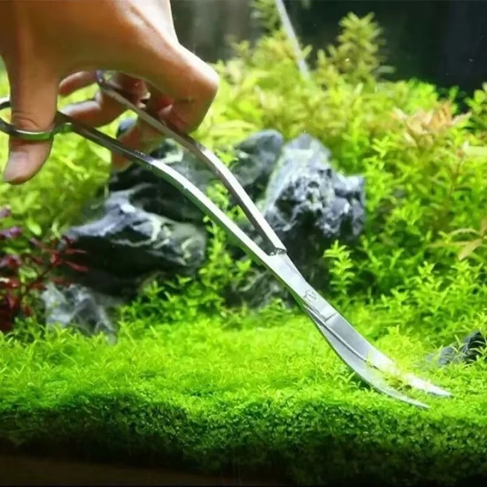 1 Stuks RVS Aquarium Schaar Re - Planted Aquarium Cleaning recensie en prijs