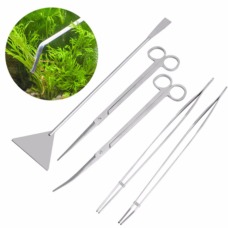 Professionele aquariumonderhou - Live Plant Aquarium recensie en prijs