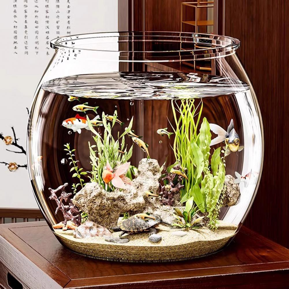 Doorzichtige plastic ronde vis - Plant Aquarium Pot recensie en prijs