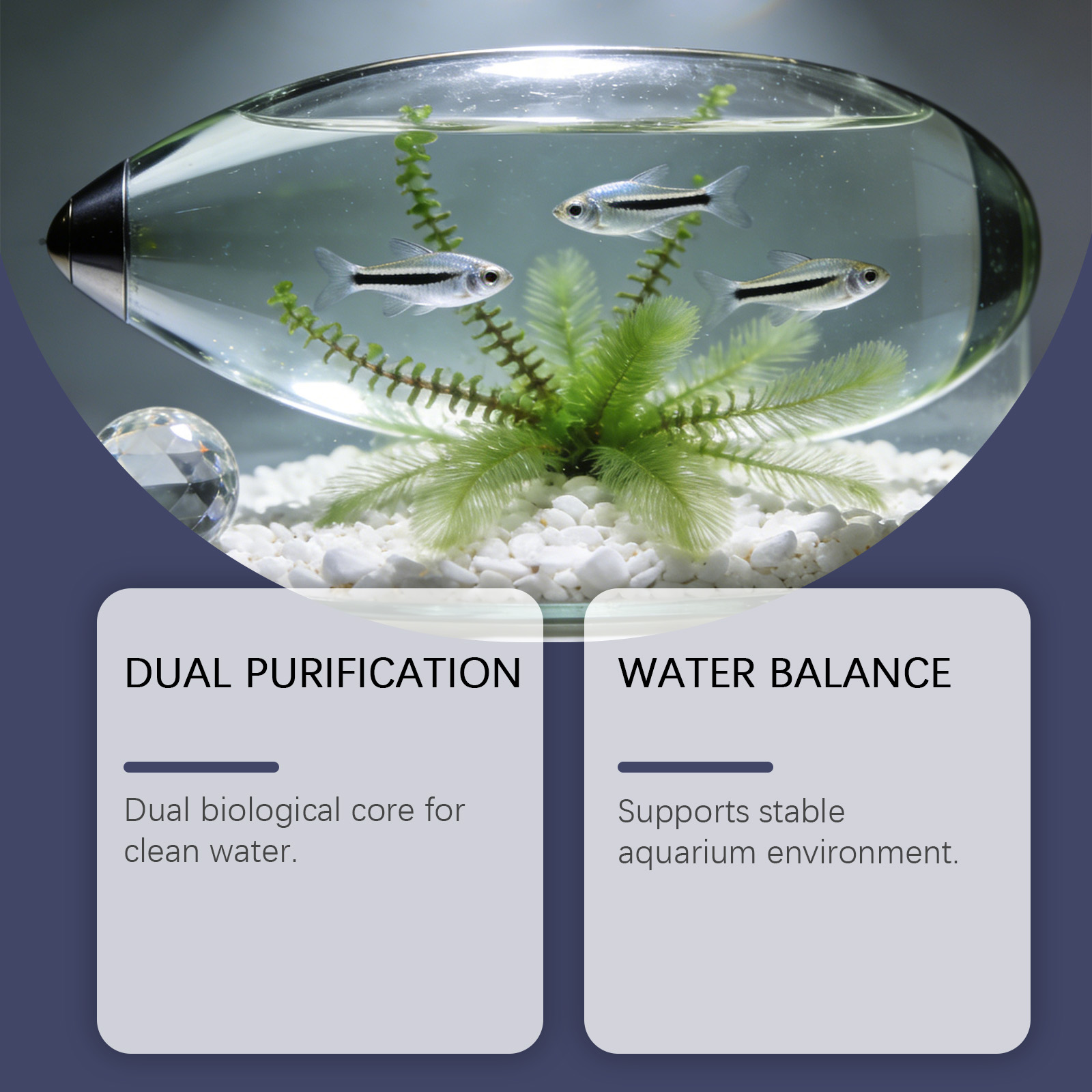 Algenverwijderingstabletten vo - Planted Aquarium Algae Control recensie en prijs