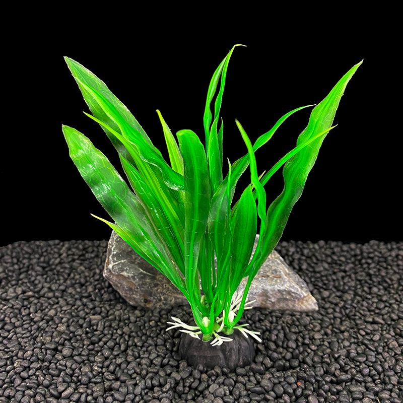 6 stuks pakketten aquariumplan - Live Plant Aquarium recensie en prijs